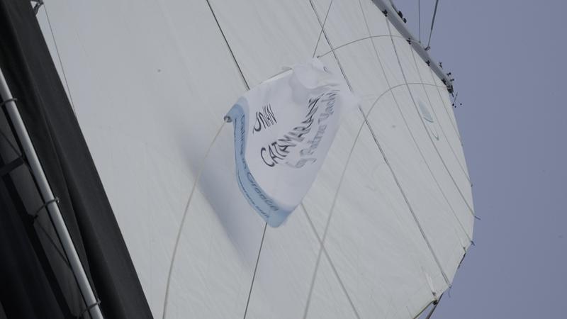 Book yachts online - catamaran - Lagoon 52 - Blue Velvet - rent