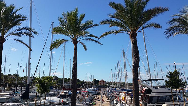 Book yachts online - sailboat - Bavaria Cruiser 41 - Fireball - rent