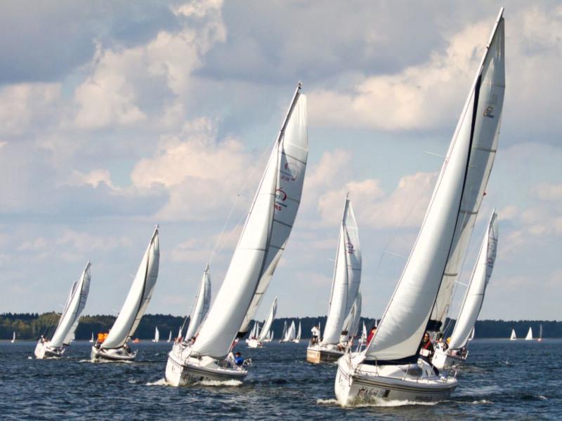Book yachts online - sailboat - Maxus 33.1 RS Standard - GEMINI - rent