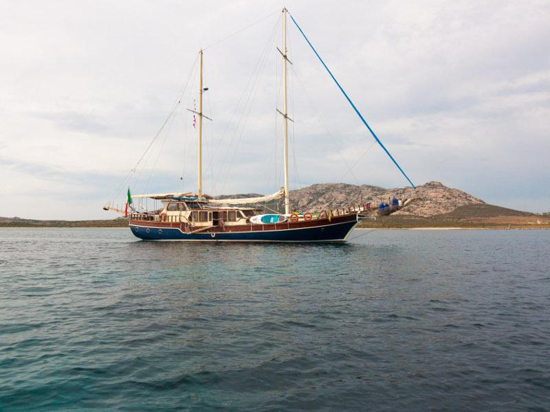 Book yachts online - other - Alissa - Alissa - rent