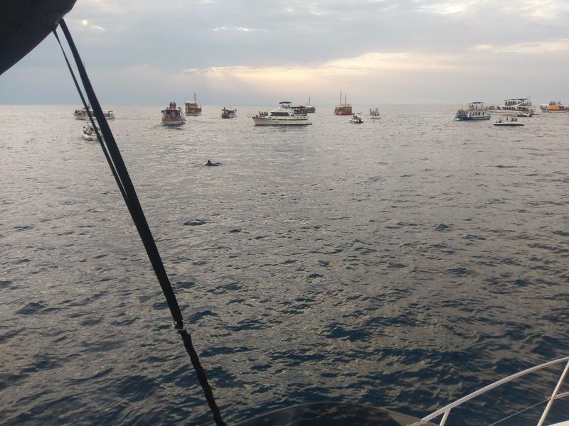 Book yachts online - motorboat - Antares 36 Fly - Setemana - rent