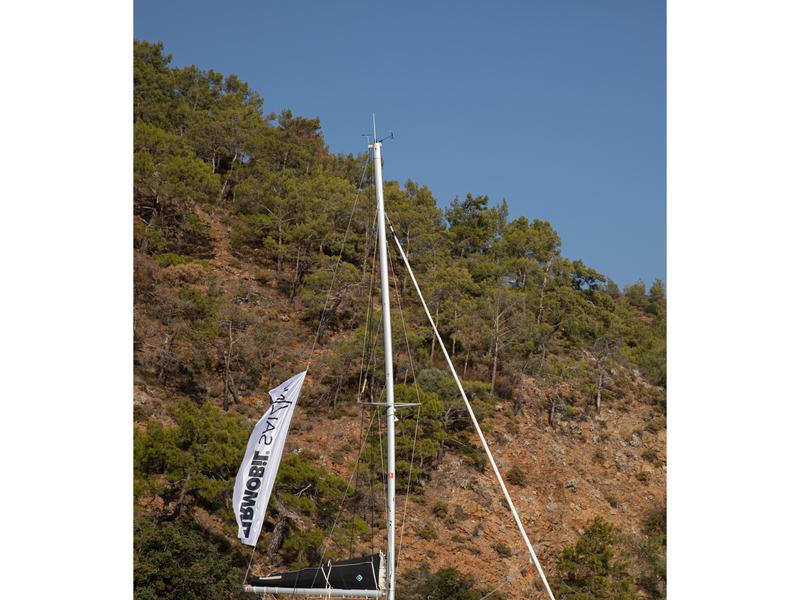 Book yachts online - catamaran - Lagoon 40 - Turtle - rent