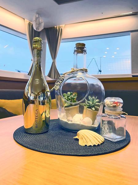 Book yachts online - catamaran - Lagoon 450  Fly - Black Duck - rent