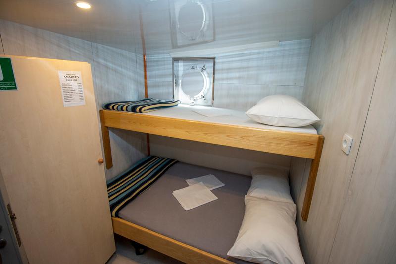 Book yachts online - motorboat - Motoryacht - Amadeus - rent