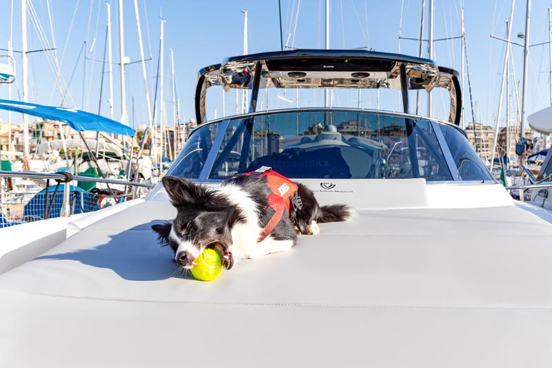 Book yachts online - motorboat - FIM Regina 340 - Lime Express - rent
