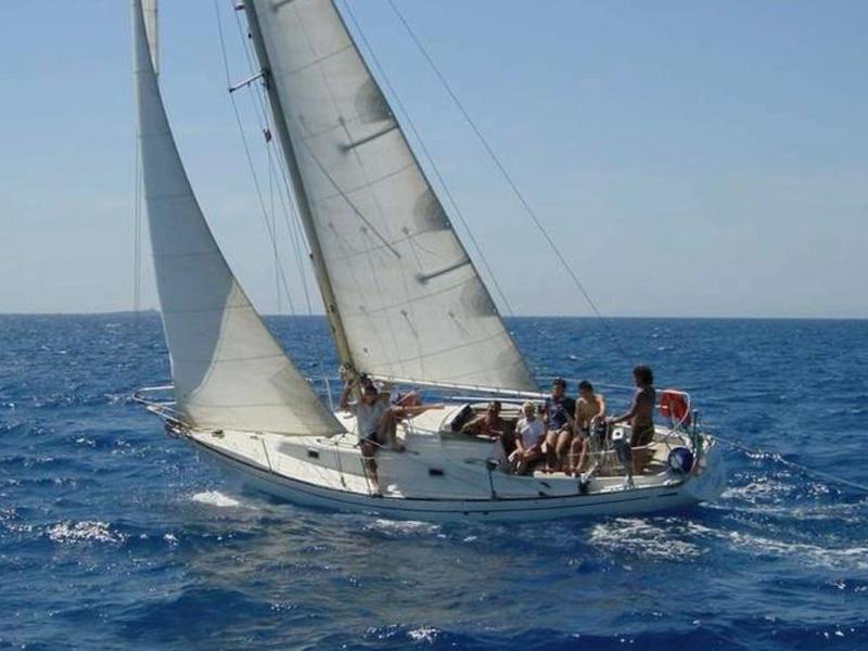 Book yachts online - sailboat - Alpa 950 - Mini Swan - rent