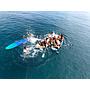 Book yachts online - other - Gulet - Golden Glory - rent