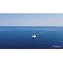 Book yachts online - catamaran - Lagoon 50 (5 cabs) Skippered - ADIAMO - rent