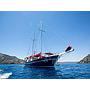 Book yachts online - other - Gulet 26 - Pronto Blue - rent