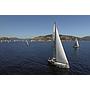 Book yachts online - sailboat - Oceanis 45 (4 cabs) - CANCAN - rent