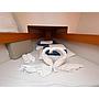 Book yachts online - sailboat - Sun Odyssey 33i - Hasta Siempre - rent