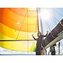 Book yachts online - sailboat - Elan 38 - Palau - rent