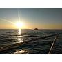 Book yachts online - motorboat - Antares 36 Fly - Setemana - rent