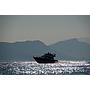 Book yachts online - motorboat - Antares 36 Fly - Setemana - rent