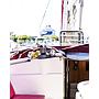 Book yachts online - sailboat - Dufour 43 - Andromeda - rent