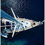 Book yachts online - sailboat - Sun Odyssey 54DS - Olivia Adriatica - Enthusiast Owned Yacht - rent