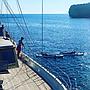 Book yachts online - other - Gulet - Sherezade - rent