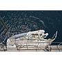 Book yachts online - other - Gulet - ALBA - rent