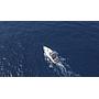 Book yachts online - motorboat - Cruisers 44 - GAP'S - rent
