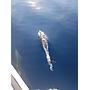 Book yachts online - motorboat - Motoryacht - Amadeus - rent