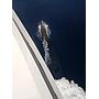 Book yachts online - motorboat - Motoryacht - Amadeus - rent