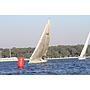 Book yachts online - sailboat - Elan 340 - Golf - rent